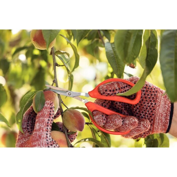 TESOURA PARA FRUTAS METALICA PROFISSIONAL COM CABO PLASTICO TRAMONTINA - Imagem 3