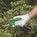 TESOURA PARA PODA 18,5cm TS-3128 TRAPP - Imagem 2