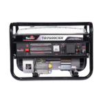 GERADOR TOYAMA GASOLINA TG2500CXH MONOFASICO 220V 2200W PARTIDA MANUAL COM SENSOR DE OLEO - Imagem 4